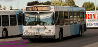 YRT-704-25082011-01