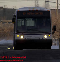 STL-0313-24122010-01