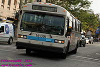 STM-14091-22092011-03