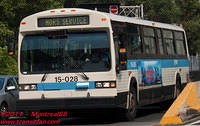 STM-15028-20072011-01