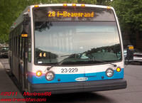 STM-23229-01072010-01