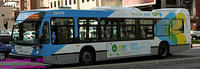 STM-29079-11082011-01