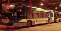 STM-31002-30122010-04