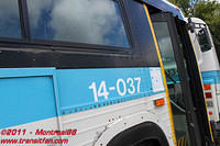 IMG 5257