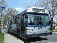 STL 6018 (38)