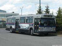 STL 6018 (50)