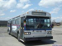 STL 6018 (62)