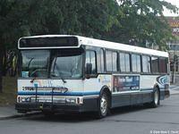 MRCLM 29106 (1)
