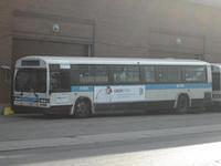 11-056 (4)