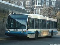 16-005 (3)