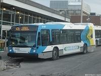 31-021 (1)
