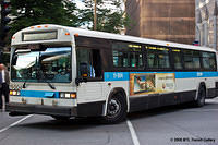 STM_11004