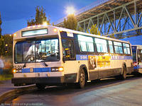 STM_13034 LR