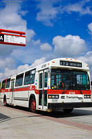 DSC_1335-Edit-2.jpg