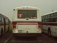 8-300.JPG