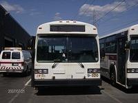 9-520.JPG