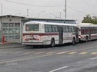 HPIM0396.JPG