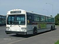 HPIM2438.JPG