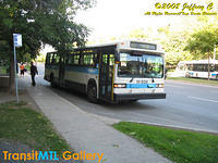 IMG_8388_©Copyrighted.jpg
