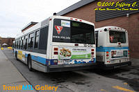 IMG_1597_©Copyrighted.jpg