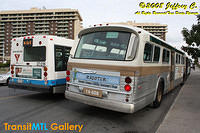 Restored Buses of Montreal