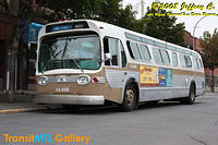 IMG_1630_©Copyrighted.jpg