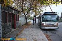 IMG_1644_©Copyrighted.jpg