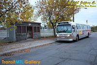 IMG_1645_©Copyrighted.jpg