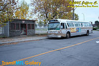 IMG_1646_©Copyrighted.jpg