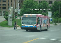 2006