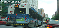 26-036