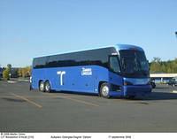 810-22-8