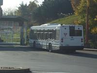 383-33-5
