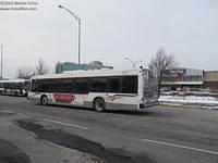 55204