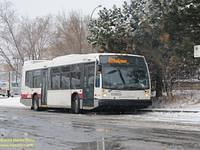 C21003