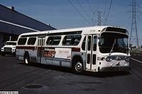 8-101 (Ex. STCUM 23-149)