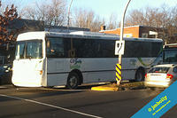 ROUS-687333