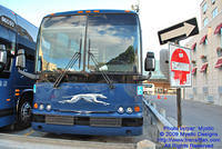 GHU-86024-070509-02.jpg