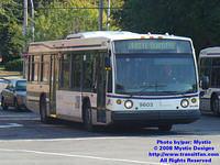 STL-9603-092408-01.jpg