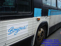 STM-14066-042608-03.jpg