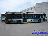 STM-17019-042608-06.jpg