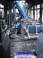 STM-17019-042608-08.jpg