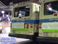 STM-14172-091309-01.jpg