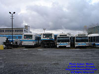 STM-YV-111008-17.jpg