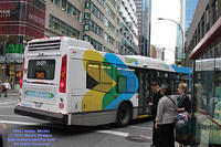 STM-31071-063011-02