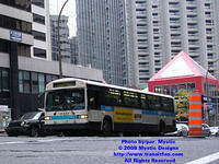 STM-11037-101308-03.jpg