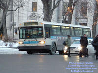 STM-13094-010509-02.jpg