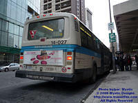 STM-14027-021609-02.jpg