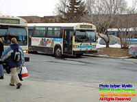 STM-14066-030806-01.jpg