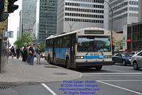 STM-15073-071509-01.jpg